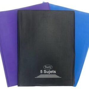 CAHIER 384 PAGES A4  5X5